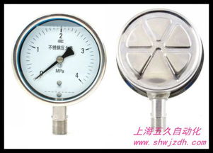 不锈钢隔膜压力表 高精度与耐腐蚀的理想融合